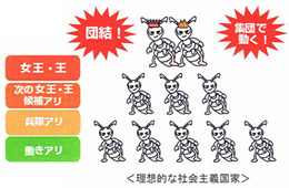 巣の構造