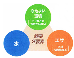 住宅の被害箇所