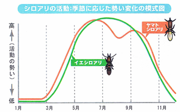 活動時期