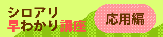 シロアリ早わかり口座 応用編