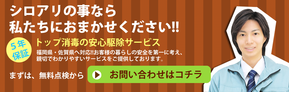シロアリの事なら私たちにおまかせください!